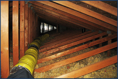 attic insulation removal wisconsin