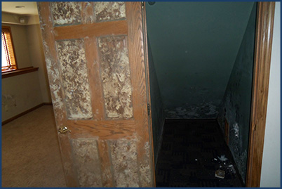 residential mold removal wisconsin